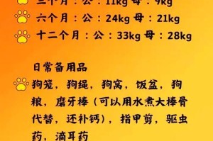 金毛髋关节发育不良的日常护理与预防方法（如何保护金毛宝宝的髋关节健康，让它们健康成长）