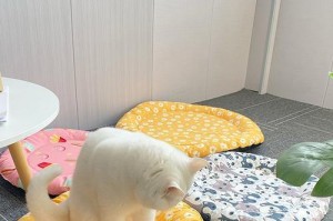 如何清洗狗垫子？（有效的清洗方法和关键技巧）