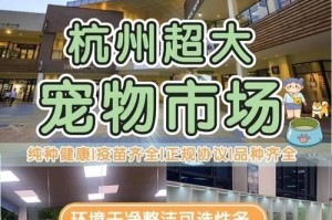 雪纳瑞价格揭秘（探究雪纳瑞价格背后的秘密）