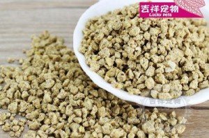 鹩哥雏鸟的成长历程（鹩哥雏鸟如何做好准备迎接飞翔的人生）