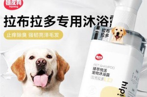 拉布拉多幼犬洗澡的最佳时间（了解拉布拉多幼犬洗澡的最佳时间，让它们健康快乐成长）