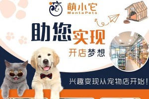 宠物店的竞争优势及其（打造宠物店的独特魅力，吸引顾客的关键因素）