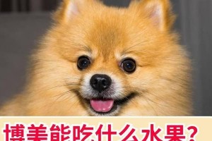以黑博美吃什么对毛好？（宠物狗毛发护理的饮食指南）