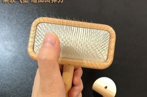 为什么要给泰迪梳毛？（了解泰迪的毛发特点与梳毛好处，让爱宠更健康快乐）