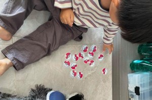 养一只雪纳瑞，每个月需要花多少钱？（饲养雪纳瑞开销明细）