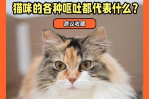 猫咪的饮水量和排尿量（揭秘猫咪每天所需的水分摄入和排尿量，让您更了解您的爱宠）