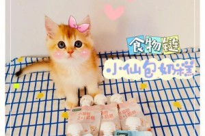 奶糕和幼犬粮的区别解析（寻找适合幼犬的营养来源）