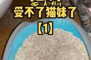 猫咪为什么喜欢以猫睡猫砂为床（探索猫咪喜欢以猫睡猫砂为床的原因与好处）