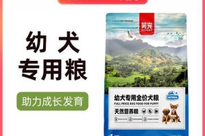 宠物养护指南（了解如何为三个月大的博美犬提供适当的饮食）