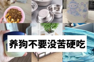 选择适合家庭的宠物（让家庭更加温暖和幸福的小伙伴）