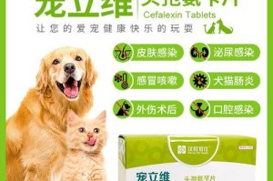 狗流鼻涕该吃什么药？（为你的爱犬选择正确的治疗方法）