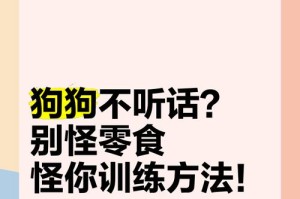 培养狗狗良好的咀嚼习惯（以正确的训练方法教导狗狗咀嚼食物）