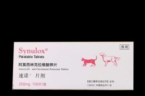 狗狗病毒性银肠炎的治疗药物及注意事项（有效药物可以帮助狗狗恢复健康，但也需谨慎选择）