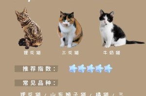 选择适合自己的猫咪品种，让它成为你的忠实伴侣（了解不同猫咪品种的特点和需求，为你的宠物生活做准备）