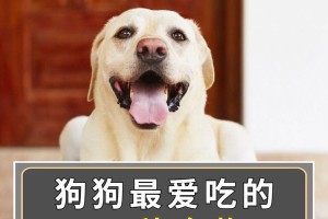 狗狗的“人间美味”之旅（探索狗狗最爱的食物，让它们尝遍人类美味）