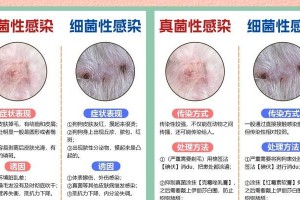 狗身上皮肤黑了的原因（探究狗身上皮肤变黑的现象及解决方法）