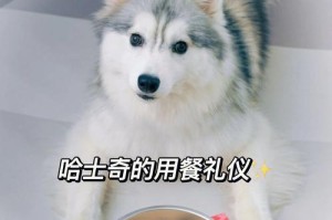 哈士奇能否吃葡萄——一场关于宠物健康的探讨（宠物喜好与食品安全，谁更重要？）