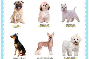 如何帮助狗狗达到标准体重和肩高？（探索常见5大狗狗的成长问题和解决方法）