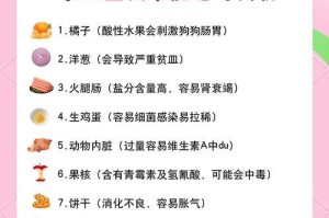 科学喂养泰迪从小到大，让它健康成长（注意喂食细节，养出萌宠的健康体魄）