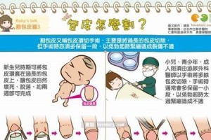 琉球兔的饲养方法（从养殖环境到日常护理，全面了解琉球兔饲养技巧）