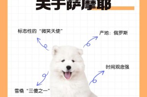 萨摩耶犬的智商问题（为什么萨摩耶被称为“弱智狗”？）