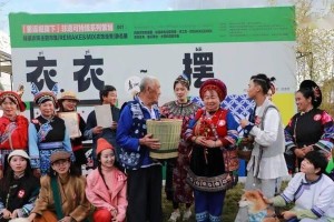 小心！蝴蝶犬吃巧克力会导致咖啡碱中毒（宠物巧克力禁忌事项及中毒症状详解）