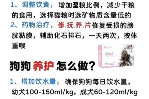 狗狗尿血可能的原因及应对方法（狗狗尿血的危害与预防措施）
