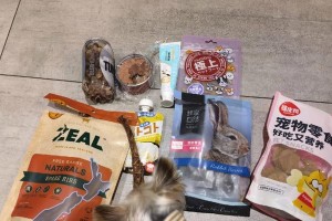 三个月的约克夏饮食指南（为您的宠物提供健康均衡的饮食）