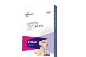 狗狗消炎的针药有哪些？（了解狗狗消炎药物的种类和作用）