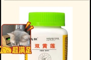 狗狗打喷嚏和干咳怎么办？用药是个好选择