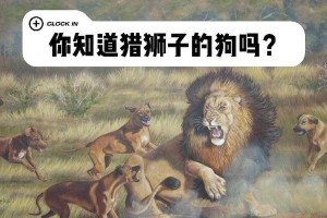 罗得西亚脊背犬饲养指南（了解罗得西亚脊背犬的特点和饲养要点）