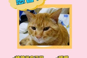 治疗剧烈咳嗽的药物及方法（以猫为例，了解有效的药物和治疗方案）
