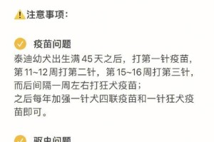泰迪的科学喂食方法（每天喂食量、注意事项和健康建议）