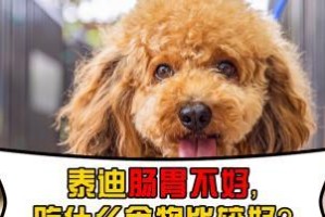 肠胃不好的幼犬如何科学喂养（针对肠胃敏感的小狗，合理饮食是关键）