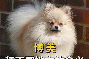 为什么狗狗总是舔尾根部？（了解狗狗舔尾根部的原因和行为习惯）