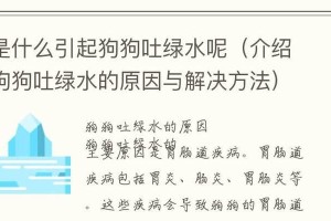 狗狗胃肠炎（了解狗狗胃肠炎的常见症状及有效应对措施）