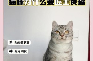 猫咪的罐头饮食频率选择与建议（宠物猫咪罐头饮食的时间间隔与营养均衡）
