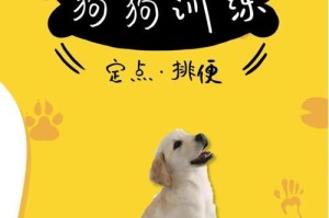 狗狗的饮食量应根据年龄和排便情况来确定（如何正确喂养狗狗的饮食量？）
