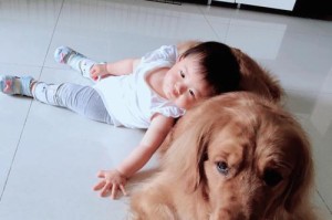 选择适合的狗狗陪伴孩子成长（以什么狗狗带小孩好？如何选择适合的狗狗伴侣？）