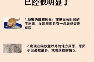 猫为何故意尿外面？（探究猫咪尿外面的原因与解决方法）