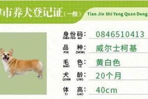 养狗证办理手续详解（办理养狗证所需手续一览）