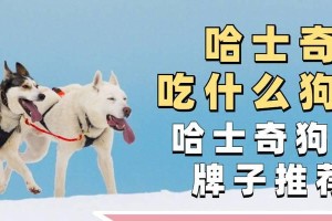 哈士奇狗粮饮食管理指南（掌握好食量，宠物健康有保障）