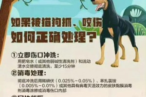 哪些狗会传染狂犬病？（了解狂犬病传染源，保护宠物和自己的健康）