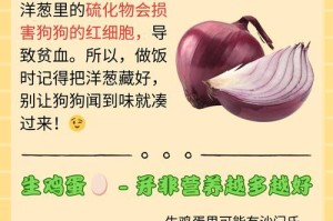 拜耳狗狗的饮食频率（探寻拜耳狗狗的吃饭时间和频率，适宜狗狗健康的饮食习惯）