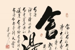 掌握这些方法，让你的圣文生亚马逊鹦鹉健康成长（以宠物为主，实用饲养技巧让你放心养殖）