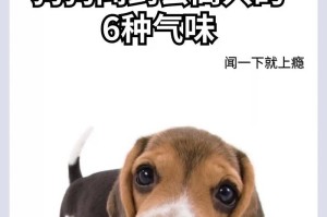国产狗狗百态（了解这些不太常见的国产犬种，满足你对多样性的追求）