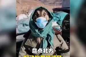 冬天来了，这些动物会冷吗？（探索冬季动物的保暖技巧与策略）