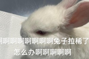 探究兔子拉稀的原因及最有效的治疗方法（兔子拉稀的危害与预防、草料管理是治疗兔子拉稀的关键）