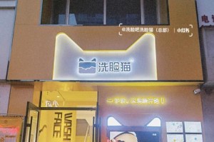 猫为什么吃完饭后洗脸？（揭秘猫洗脸背后的原因及意义）