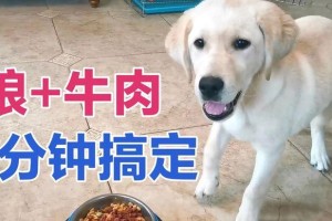 如何合理煮牛肉给狗狗？（牛肉煮的时间和注意事项解析）